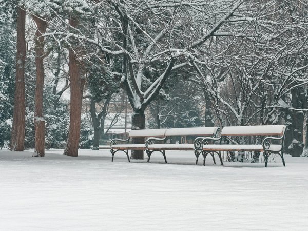 Piqûres de punaises de lit : comment les identifier et les traiter ?